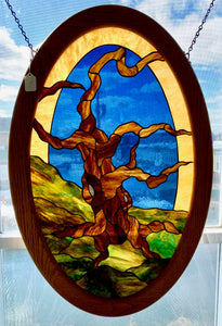 Oval Bristlecone Pine Tree Panel