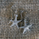 Sweet Little Starfish